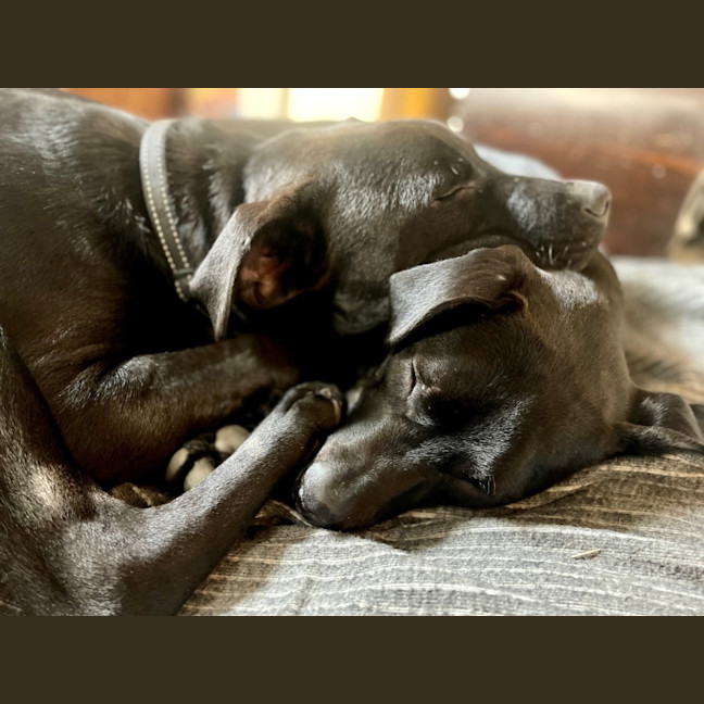 Photo of Graphite