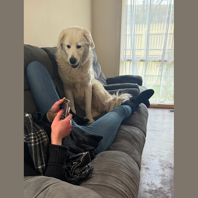 Photo of Lyra