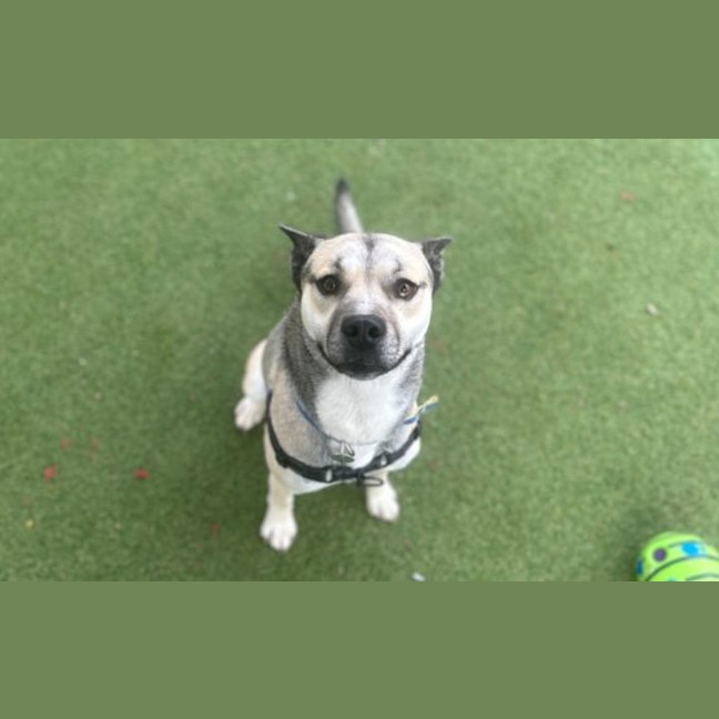Photo of Hugo