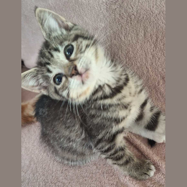 Photo of Harriet