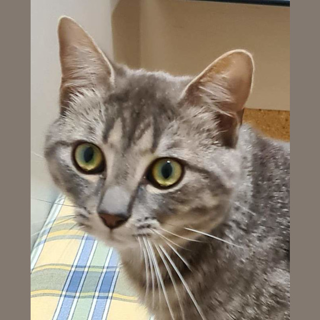 Photo of Charlie