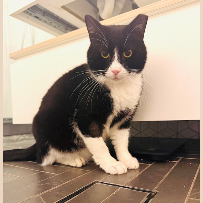 Photo of Gatsby 🌟