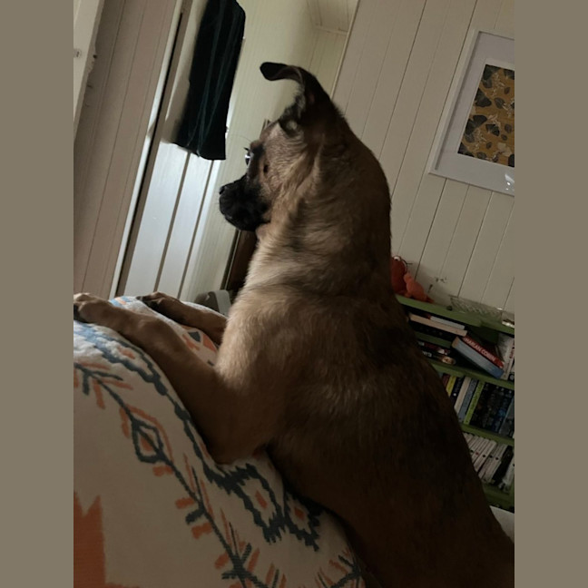 Photo of Minnie 🐭