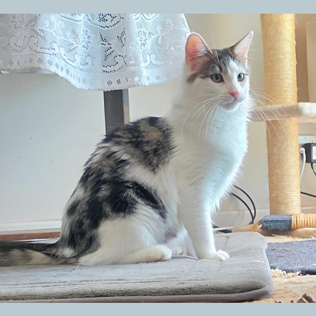 Photo of Dotty