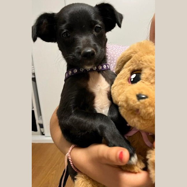Photo of Hazel