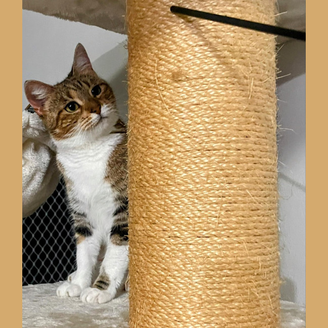 Photo of Princess Lilibet