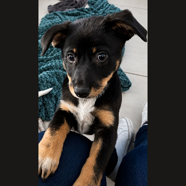 Photo of Cindy