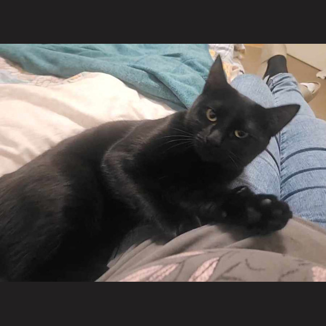 Photo of Freya
