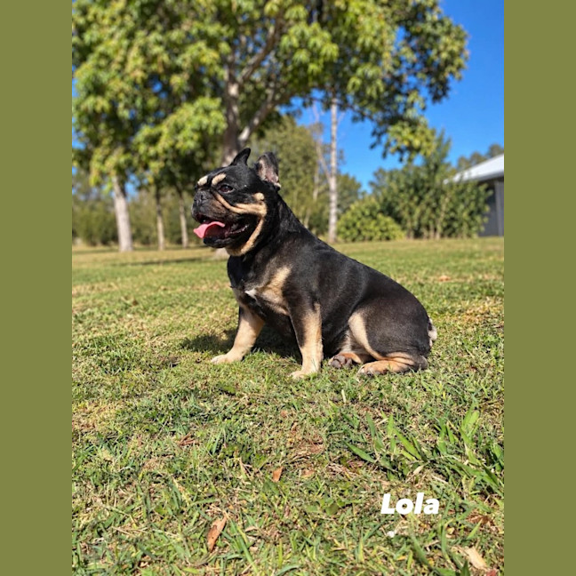 Photo of Lola