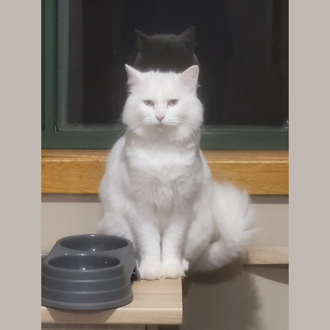 Photo of Princess