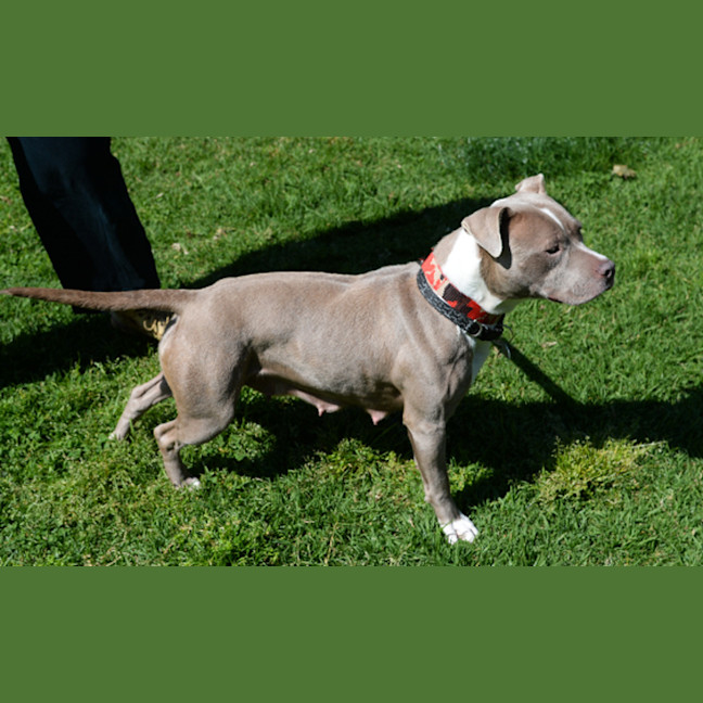Photo of Wilma