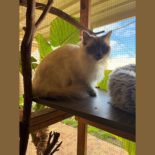 Photo of Casper