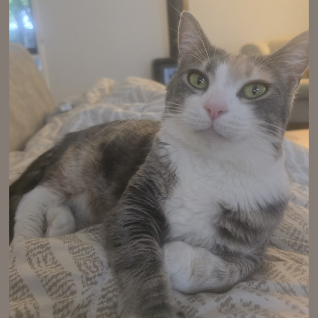 Photo of Coraline