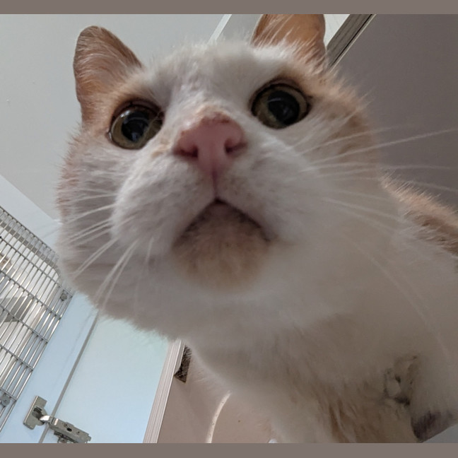Photo of Monty