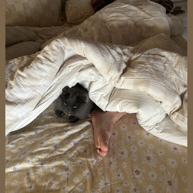 Photo of 💙 Harry 💙