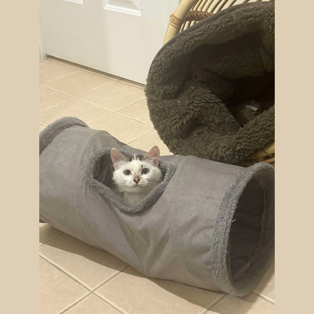 Photo of Hallie
