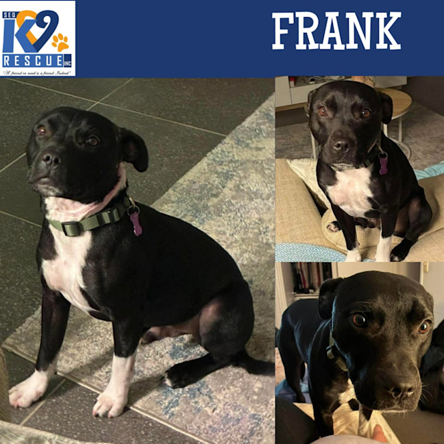 Photo of Frank