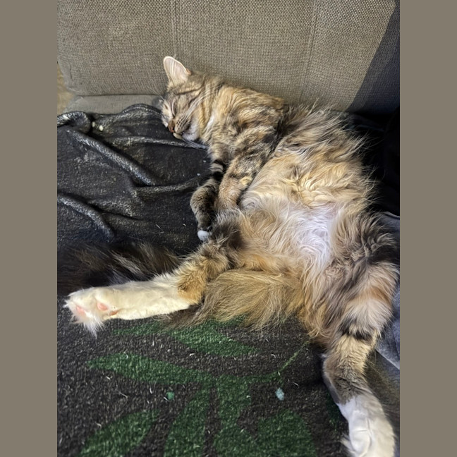Photo of Samara Mae 