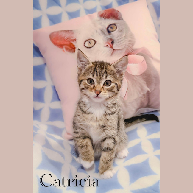 Photo of Catricia