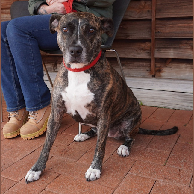 Photo of Della