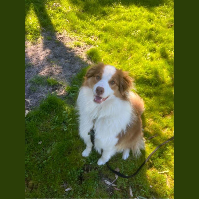Photo of Momo