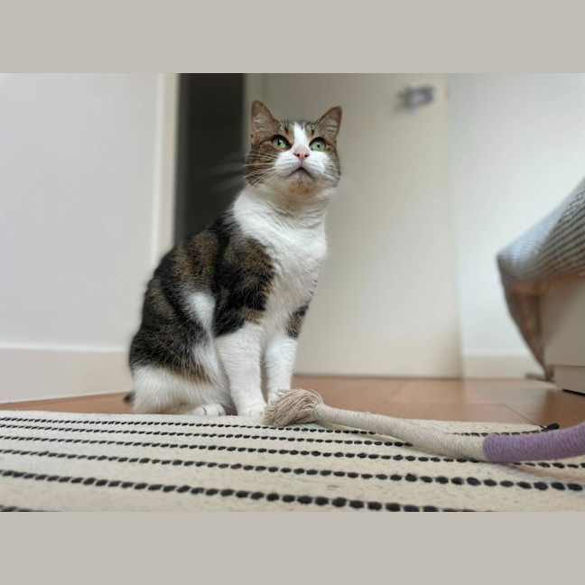 Photo of Mimi   In Foster Care In Macleod