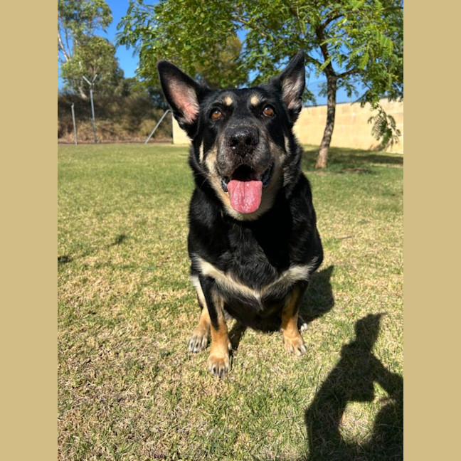 Photo of Roxy