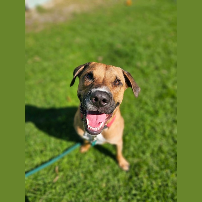 Photo of Taco