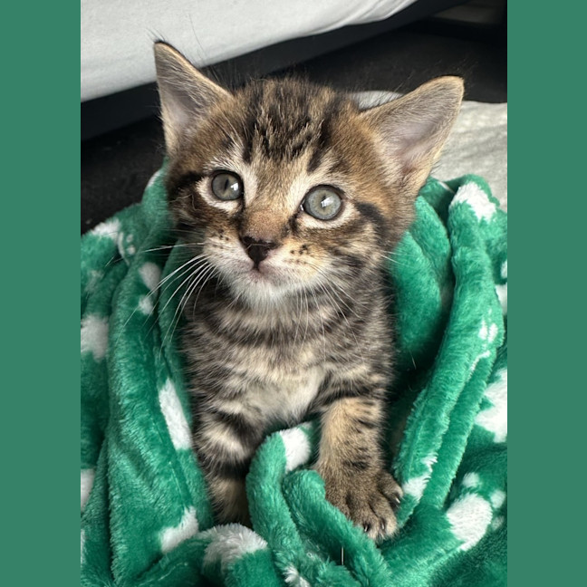 Photo of Milford 💙