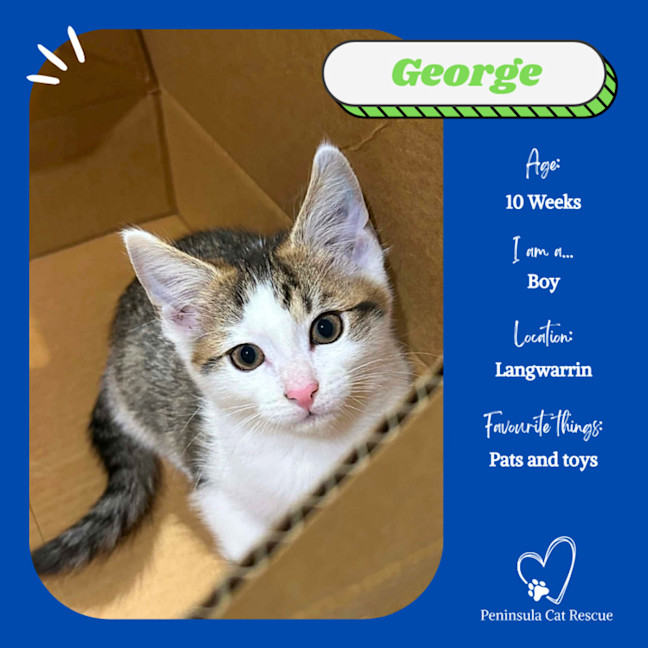 Photo of George
