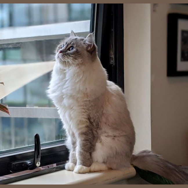 Photo of Zoe