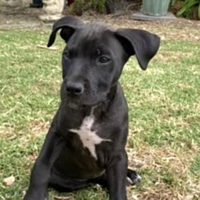 Photo of Passionfruit Bliss