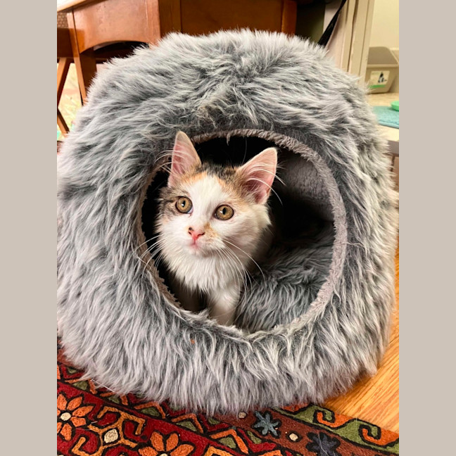 Photo of Winnie