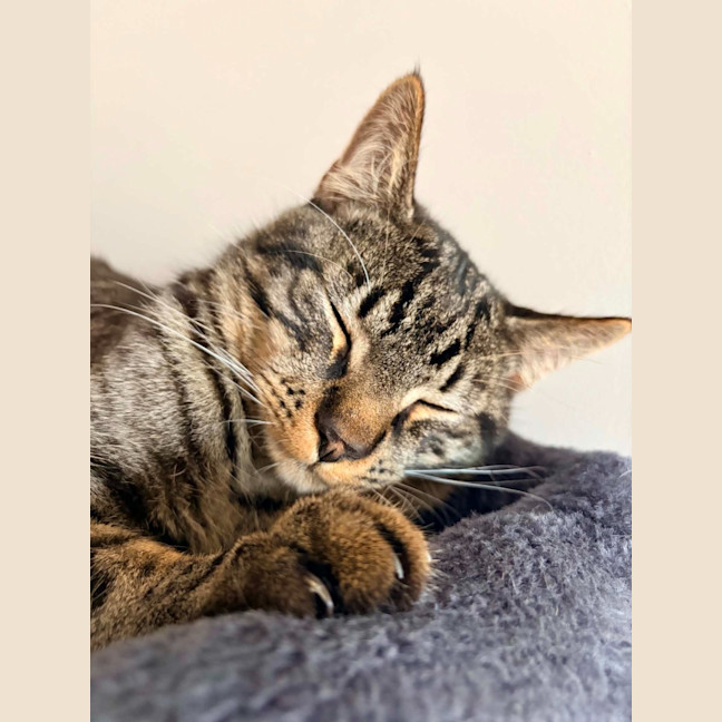 Photo of Reetee