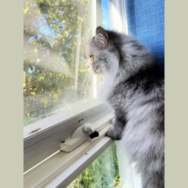 Photo of 🤍Emmett🤍