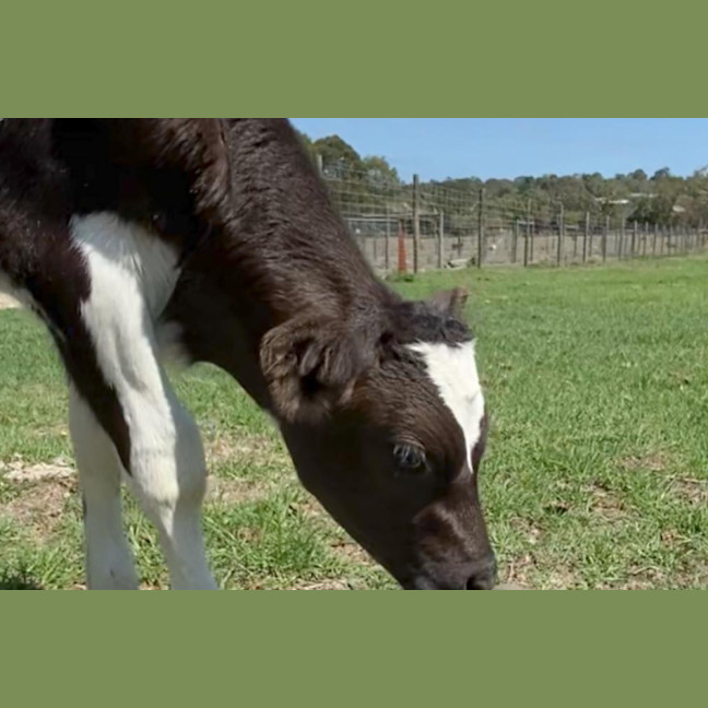 Photo of Benson And Arthur