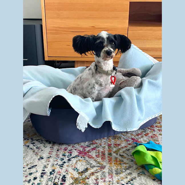 Photo of Lovely Penelope