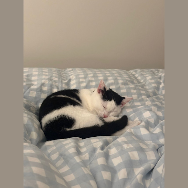 Photo of Mickey