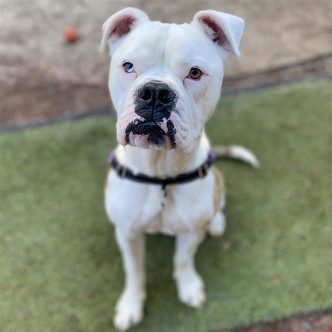 Photo of Thor