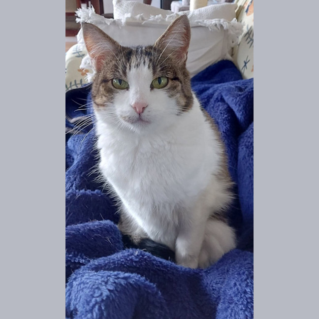 Photo of Miss Molly