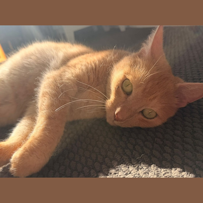 Photo of Frankie
