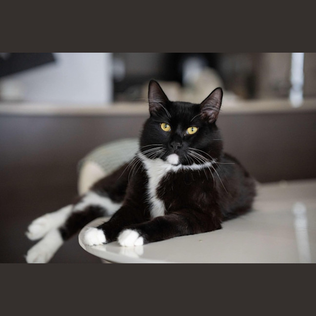 Photo of Daddy Mikey 