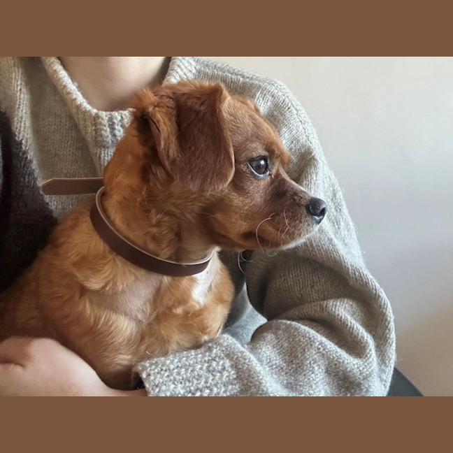 Photo of Toby Quinnell