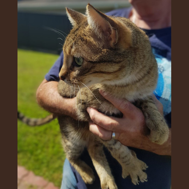 Photo of Regi   Now At Petquarters Rutherford