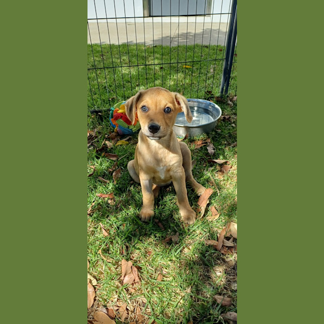 Photo of Beemer