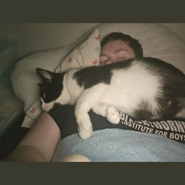 Photo of Gaia   Reduced Adoption Fee