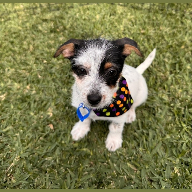 Photo of Bobby