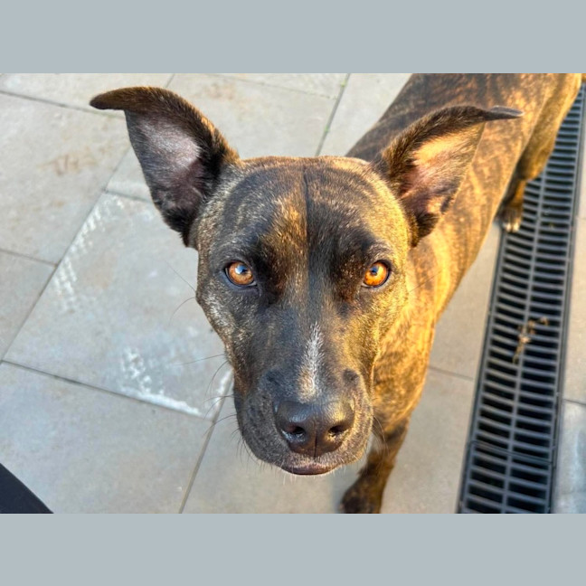 Photo of Aura