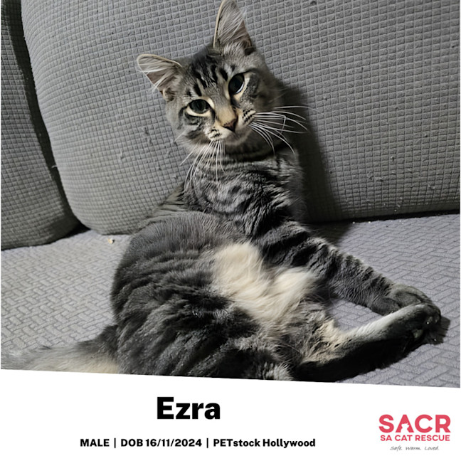 Photo of Ezra