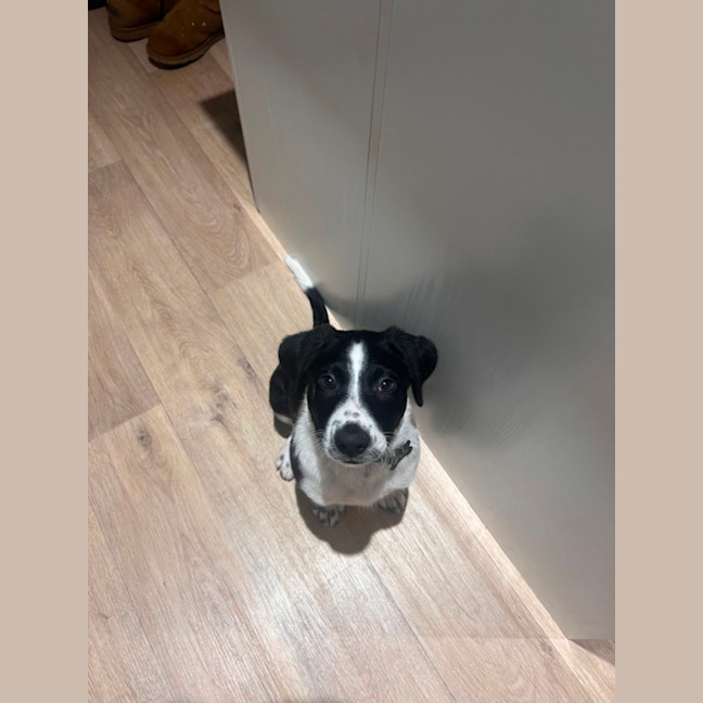 Photo of Lenny